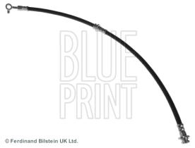 Blue Print ADN153249 - PRODUCTO