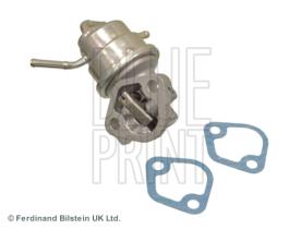Blue Print ADN16815 - PRODUCTO
