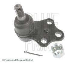 Blue Print ADN186102 - PRODUCTO