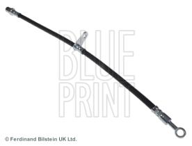 Blue Print ADS75368 - LATIGUILLO