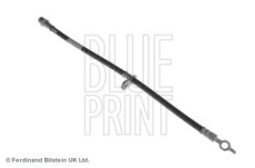 Blue Print ADT353297 - LATIGUILLO
