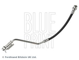 Blue Print ADG053304 - PRODUCTO