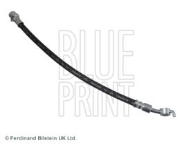 Blue Print ADG053311 - PRODUCTO