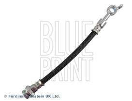 Blue Print ADN153276 - PRODUCTO