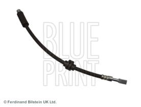 Blue Print ADG053312 - PRODUCTO