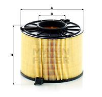 Mann Filter C170121 - FILTRO AIRE CAR