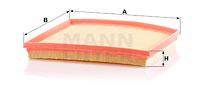Mann Filter C29028 - FILTRO AIRE CAR