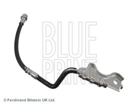 Blue Print ADG053319 - PRODUCTO