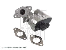Blue Print ADJ137235 - PRODUCTO