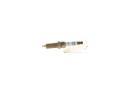 Bosch 0242129529 - PRODUCTO