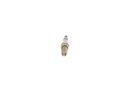 Bosch 0242135554 - PRODUCTO
