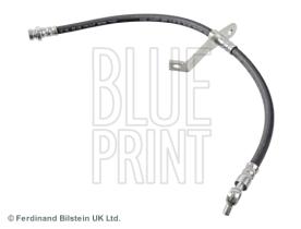Blue Print ADG053327 - PRODUCTO