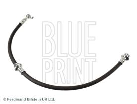 Blue Print ADN153280 - PRODUCTO