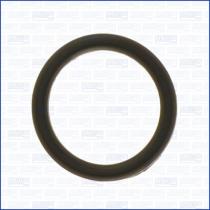 Ajusa 00563500 - JUNTA ACCESORIA FIAT