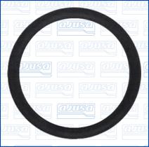 Ajusa 00873900 - JUNTA FILTRO ACEITE IVECO