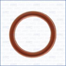 Ajusa 01080900 - JUNTA ANULAR,CAVIDAD BUJIA FORD