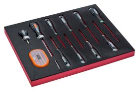 Bahco FF1F1005 - JUEGO DE DESTORNILLADORES Y PUNTAS PARA TORX® EN BANDEJA DE