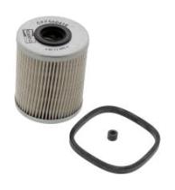 Champion CFF500416 - PRODUCTO