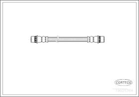 Corteco 19025764 - LATIGUILLO FRENO CITROEN-PEUGEOT REAR