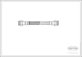 Corteco 19025846 - LATIGUILLO FRENO PEUGEOT+LT,CITROEN REAR