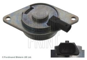 Blue Print ADG072130 - PRODUCTO