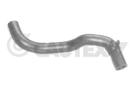 Cautex 026496 - MANGUITO SUPERIOR RADIADOR,SIN A/A