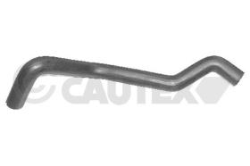 Cautex 035078 - MANGUITO INFERIOR RADIADOR
