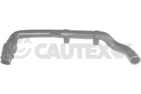 Cautex 036053 - MANGUITO INFERIOR RADIADOR