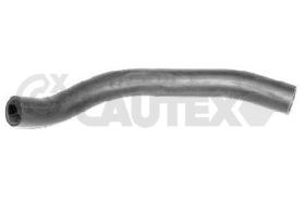 Cautex 036391 - MANGUITO DESVAPORIZADOR BLOQUE A CULATA